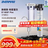 爱惠浦（Everpure） 家用矿物质厨下净水器 大流量0废水直饮 1.8L/分钟3500L处理量 EF-900P Plus