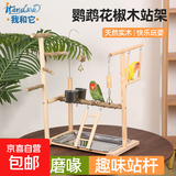 鹦鹉站杆站架玄凤桌面站台虎皮互动鸟笼牡丹攀爬玩具花椒木 三号实木站架【不锈钢食杯+底盘】