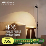 爱斯兰客厅落地灯网红护眼卧室全光谱小红帽氛围灯轻奢极简风沙发立式灯 砂岩黑-12W-暖光（氛围首选）