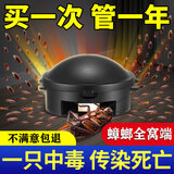 地依猫蟑螂药特效强力全窝端虫卵双杀除灭防杀蟑螂屋盒胶饵剂神器