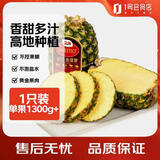 都乐Dole 菲律宾金菠萝1粒装 1.3kg 酸甜可口  源头直发 包邮