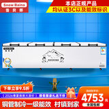 雪贝娜冰柜商用大容量全冷冻家用双温卧式冷柜展示柜 2388双机【双倍制冷一级能效】长3.6米