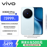 vivo X300 Pro 16GB+512GB 自在蓝 蔡司2亿APO超级长焦 蓝图影像双芯 5年持久流畅OriginOS 6 AI手机