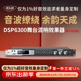 麦乐迪DSP6300卡拉ok混响器 数字音频前级效果器 家庭影院防啸叫调音台处理器含话筒 调音台均衡器 DSP6300豪华升级版(含线) 标准版