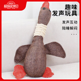 憨憨宠 狗玩具宠物狗狗玩具 发声磨牙耐咬幼犬小型犬用品金毛泰迪玩具 棕色大燕