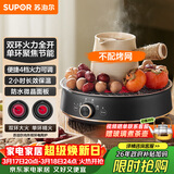 苏泊尔（SUPOR）迷你电陶炉 煮茶器煮茶炉煮茶壶 养生围炉煮茶泡茶办公家用不挑器具SW-DTL05