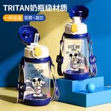 迪士尼（Disney）儿童水杯夏季吸管杯子小学生上学专用直饮防摔水壶幼儿园宝宝水杯