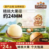 三只松鼠夏威夷果500g/袋 坚果炒货干果约24-26mm大果休闲零食送礼 
