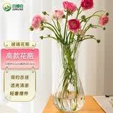 吕姆克花瓶插花水养客厅摆件高级感透明大号玻璃花瓶客厅餐桌面装饰4020