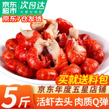 弹指鲜生麻辣小龙虾尾 熟冻大号虾球固形物含量≥53%冷冻虾尾夜宵烧烤食材 大号5斤【送麻辣料包】