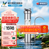 道尔顿（Doulton）净水器家用直饮英国原装进口  道尔顿明星爆款DIS厨下矿物质净水机自来水过滤0废水不用电 DIS套机(自带/加配各1芯共2支)