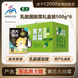 黑大东北酸菜丝 绿色礼盒装500g*6 乳酸菌发酵酸白菜东北特产 