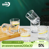 青苹果耐热玻璃水杯咖啡杯220ml6只 家用冰川锤纹茶杯洋酒杯啤酒杯
