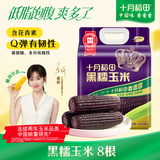 十月稻田 黑糯玉米 3.52斤(220g*8根) 东北玉米 杂粮粗粮 低脂早餐