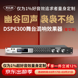 麦乐迪DSP6300卡拉ok混响器 数字音频前级效果器 家庭影院防啸叫调音台处理器含话筒 调音台均衡器 DSP6300专业K歌效果器豪华版 标准版