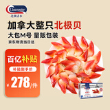 Clearwater北极清水加拿大北极贝刺身食材1kgM码大号51-70只日料海鲜囤货