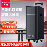 山水（SANSUI）T26 双6.5吋广场舞音响户外音响k歌专用大功率演出级移动蓝牙拉杆音响带双话筒吉他民谣乐器音箱