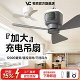 物克 宿舍风扇床上蚊帐内小吊扇床上静音无刷电机小型微风吊扇学生寝室用睡眠遥控定时户外露营悬挂 FS6P加大充电版【12000毫安+遥控】石墨灰