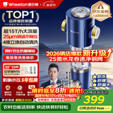 惠尔顿前置过滤器15T大通量过滤25微米反冲洗家用全屋净水器 实时自动清洗刮洗自来水防爆过滤器P0038pro 自行安装【15T-升级25微米精滤】