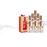 泸州老窖泸州酒雅纯 双重礼盒 52度浓香型白酒 52度 500mL 6瓶