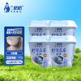 兰格格 草原酸奶 野生蓝莓300g*4杯0蔗糖酸奶 产地乌兰察布源头直发