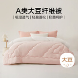 博洋家纺 A类抑菌10%大豆被子 双人加大春秋被芯 约4.6斤220*240cm