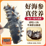 张奶奶大连鲜食即食海参礼盒装非干货鲜活辽刺参速食冷冻水产特价送礼 即食海参 500g 小头实惠/14-20头 好海参 真鲜美