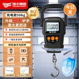 凯丰 手提电子秤手提秤便携式高精度家用快递称弹簧秤称重食物行李称 【升级加固不勒手】充电款50kg