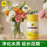 史丹利鲜花绿植专用泡腾片100g 二氧净水化氯保鲜除臭插花鲜切花卉醒花