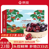 京觅大连美早樱桃车厘子 2J级净重1斤 单果10-12g水果礼盒 源头直发