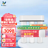 道尔顿（Doulton）净水器家用直饮 厨房自来水龙头过滤器矽藻陶瓷饮水机超滤净水机无废水厨下式 D-IP301