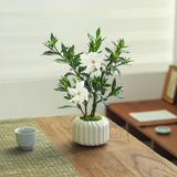 八芽小叶栀子花盆栽开花植物室内桌面茶几好养花卉绿植办公室净化空气 小叶栀子花-陶瓷竖纹盆【推荐款】 带盆栽好