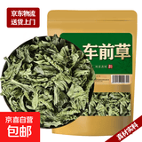 车前草中药材新鲜干货猪耳朵草车轮草菜整株切段 车前草500g