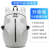 艾伯斯 骑行背包摩托车头盔包全盔双肩包摩旅防泼水大容量骑士机车装备 【升级版】灰色