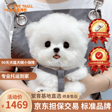 三条尾巴纯种比熊幼犬小型小体活物卷毛血统比熊犬茶杯宠物狗狗长不大可爱 宠物级比熊【视频选宠】