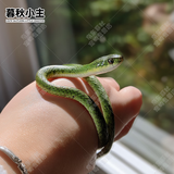 暮秋小主宠物玉米蛇活物爬宠幼体异宠翠青开食王蛇活体苗子幼崽真蛇无毒 翠青苗（新手友好）