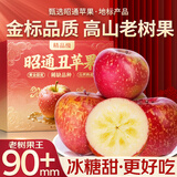 山姆大叔 丑苹果昭通苹果冰糖级【闪送-多地次日达】云南新鲜水果礼盒装 【金标·稀缺果王】单果80-90mm｜甜度翻倍 9斤装【高山老树果-更脆甜】净8