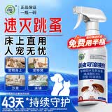 坤宁王跳蚤专用杀虫剂床上家用室内非无毒喷雾药宠物猫狗窝驱虫500ml