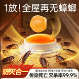 地依猫蟑螂药杀蟑饵剂全窝端家用非无毒一窝端屋贴胶饵驱灭神器