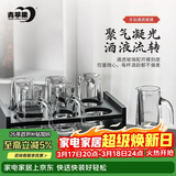 青苹果白酒杯二两杯刻度分酒器玻璃酒壶6只 家用饭店用