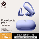 beats Powerbeats Pro 2 完全无线高性能耳机 【礼物】 真无线蓝牙运动耳机 心率监测  跃动紫