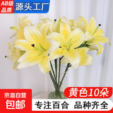 AB级优质香水百合鲜花水培插花家庭生活水养鲜切玫瑰云南产地直发 高品质【AB级黄色】香水百合10朵+保鲜剂+大花苞