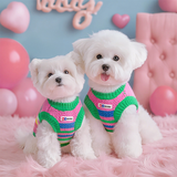 MIKI PAD狗狗衣服春秋薄款背心猫咪衣服宠物毛衣中小型犬比熊泰迪雪纳瑞 彩虹条纹毛衣 S 胸围33cm(参考体重3-6斤)