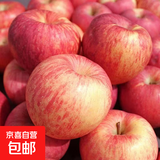 正宗山东红富士苹果丑苹果新鲜水果当季脆甜冰糖心苹果嘎啦果 净重1斤55mm+