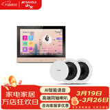 山水（SANSUI）T2 吸顶音响喇叭 5.1家庭影院音响套装 背景音乐客厅 吊顶喇叭 音箱功放家用 T2【智能音乐主机+2个6.5吋喇叭】