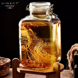游驿（UINEAT）玻璃泡酒专用瓶密封罐家用酿酒坛10斤泡酒容器酒瓶