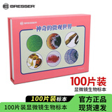 宝视德（bresser）显微镜配件生物标本玻片科普教学微生物动植物昆虫切片100片装