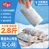 纯色本味冷冻舟山带鱼实心肉段(去肚) 净重2.8斤只取一段纯鱼肉生鲜食材