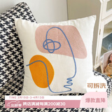 艾薇抱枕沙发靠垫腰靠床头靠枕汽车载靠背垫飘窗腰垫45*45抽象人物