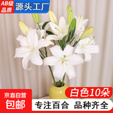 AB级优质香水百合鲜花水培插花家庭生活水养鲜切玫瑰云南产地直发 高品质【AB级白色】香水百合10朵+保鲜剂+大花苞